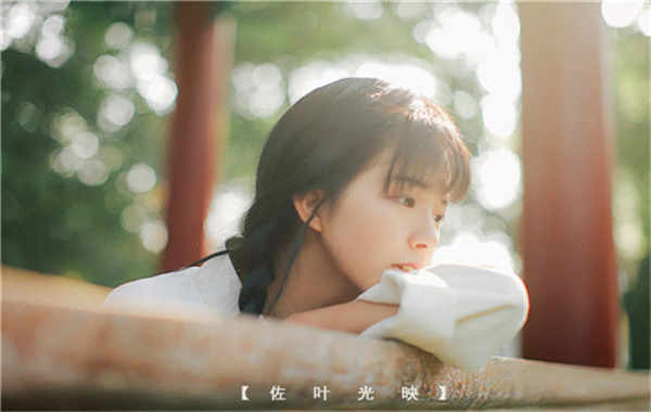 鲁甸胎儿性别鉴定需要多少钱(胎儿性别鉴定的方法)